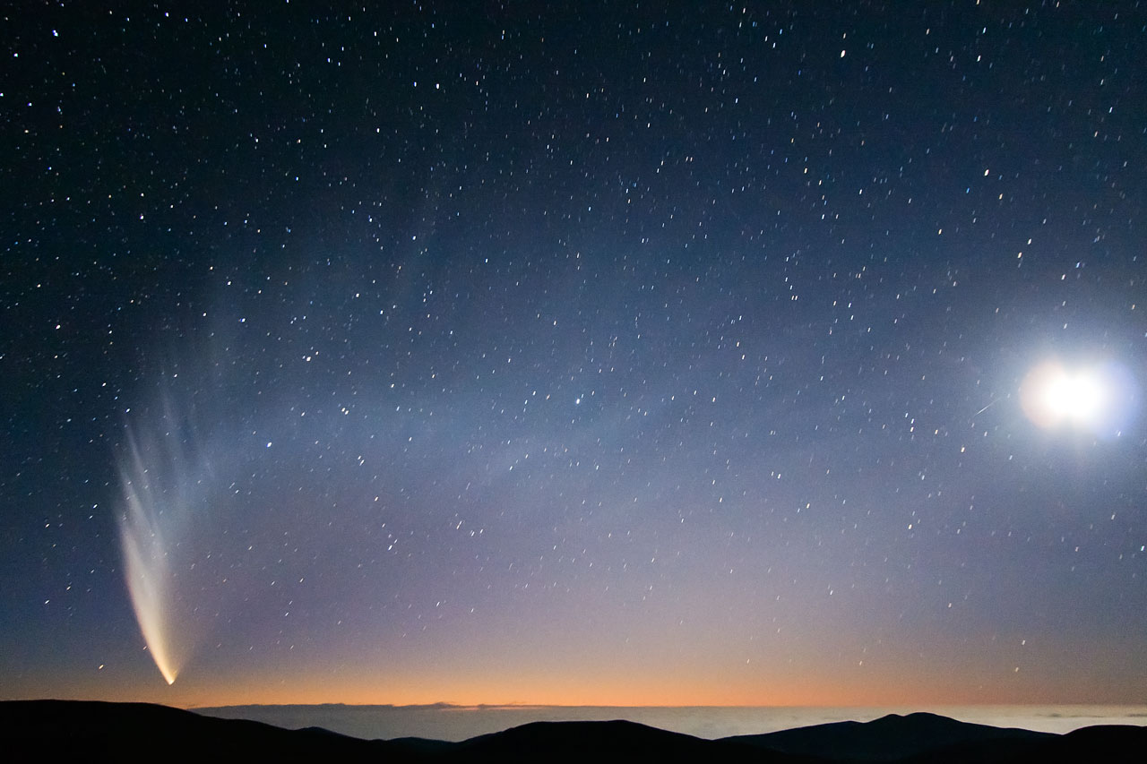 Cometa C/2006 P1 (McNaught)